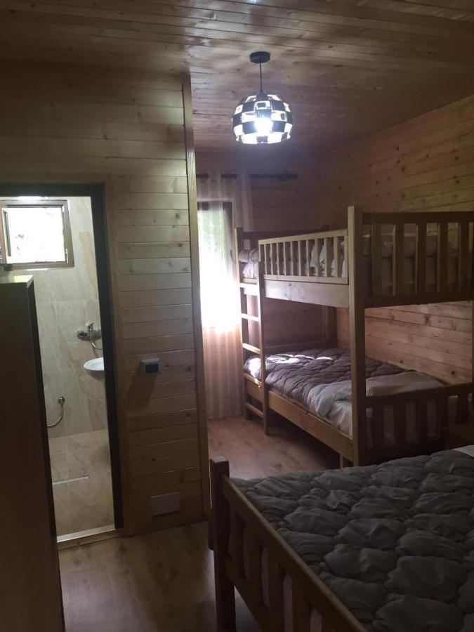 Guesthouse Demushi فالبني المظهر الخارجي الصورة