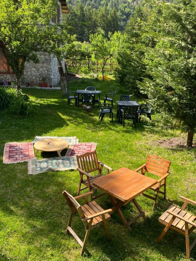 Guesthouse Demushi فالبني المظهر الخارجي الصورة