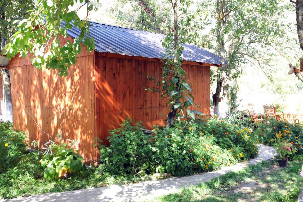 Guesthouse Demushi فالبني المظهر الخارجي الصورة