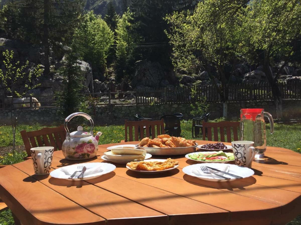 Guesthouse Demushi فالبني المظهر الخارجي الصورة